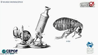 Microscopia Óptica  História da Microscopia Óptica [upl. by Sunshine]
