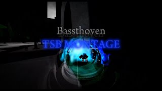 Bassthoven TSB MONTAGE  Flawless  Montage 1 [upl. by Whatley539]