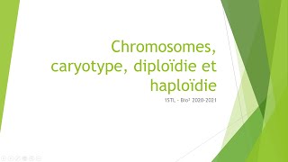 Chromosomes caryotype diploïdie et haploïdie [upl. by Norok496]