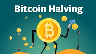 What is Bitcoin Halving Explained by CoinGecko [upl. by Annayak]