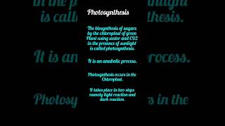 Mechanism of photosynthesis shortsfeed shorts science youtubeshorts [upl. by Rola]