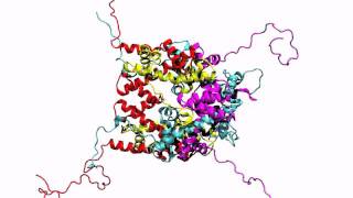 The 1 microsecond histone octamer dynamics without DNA [upl. by Kram915]