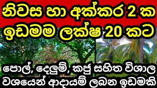 අක්කර 2 යි නිවසයි ලක්ෂ 20 ක් පමණයි Pol idam  Land for sale  Aduwata idam Agriculture land  Idam [upl. by Yelrebma]