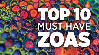 Top 10 Must Have Zoanthids  World Wide Corals [upl. by Ewald755]