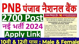 PNB Bank New Vacancy 2024  PNB Recruitment 2024  PNB Vacancy online application form fill up [upl. by Kinsler36]