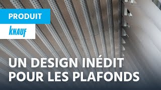 Une nouvelle perception du plafond plâtre modulaire ► ROLD12 [upl. by Lattimer118]