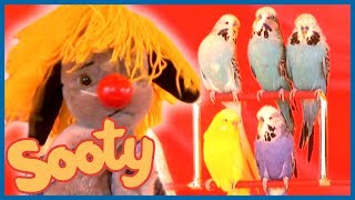 Magical Birds at the Circus  The Sooty Show [upl. by Yeuh]