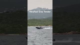 VeryFast Gray Tender trending viralvideo travel summer season adventure vacation 500subs [upl. by Igig433]