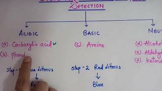 STEPS FOR FUNCTIONAL GROUP DETECTION IN GIVEN ORGANIC SAMPLE FOR CHEMISTRY PRACTICAL CLASS XII [upl. by Dorian]