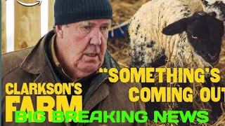 Clarksons Farm Has Jeremy Clarkson given up his sheep [upl. by Krefetz]