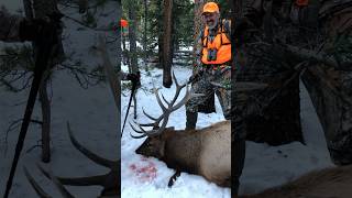 First elk ever Bull down Colorado rifle season will be here this Saturday elkhunting bigbull [upl. by Iny]