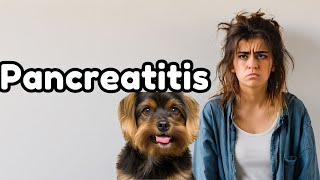 Pet Parent Overwhelmed by Pancreatitis [upl. by Odnanreh]