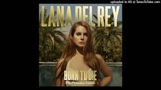 Lana Del Rey  Video Games Official Instrumental [upl. by Ellehc]