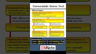 Furosemide Stress Test [upl. by Altheta562]