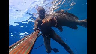 Spearfishing trip Adriatic Croatia 112022 Cernia 15kg  INTERCEPTOR spearguns [upl. by Morette]