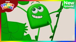 Meet Green  FULL EPISODE  S1 E6  Learn Colours  Kids Cartoons  Colourblocks [upl. by Einhapets]