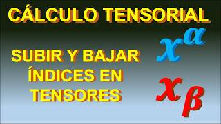 16 SUBIR Y BAJAR ÍNDICES EN TENSORES CURSO DE CÁLCULO TENSORIAL matematicas tensor relatividad [upl. by Gerri]