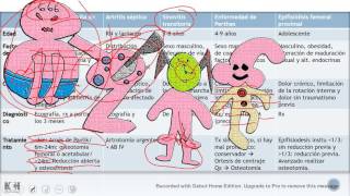 Traumatología Pediátrica Repaso rápido ENARMMIR [upl. by Cargian]