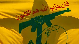 ‘Just terrible’ Hezbollah flags flown at protests in Sydney and Melbourne [upl. by Hayila720]