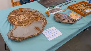 Lyme Regis Fossil Festival 2024 [upl. by Namara]