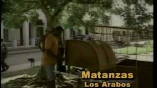 Los Arabos  Matanzas  Cuba que linda es [upl. by Anav]