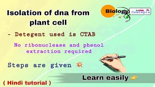 Isolation of DNA from plant cell ll biology ll [upl. by Irroc]