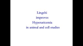 Ganoderma Research  Lingzhi improves hyperuricemia in animal and cell studies [upl. by Naesar]