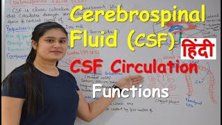 Cerebrospinal fluid in Hindi CSF  Functions  Production  CSF Circulation  Choroid Plexus [upl. by Latvina486]