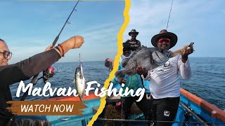 Malvan Fishing  Tuna Fishing  Bangda Fish  मालवण  Malvan [upl. by Alduino]