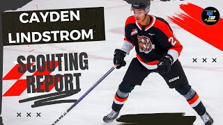 Cayden Lindstrom Future NHL Star  Scouting Report Highlights amp Stats  2024 NHL Draft [upl. by Terina789]