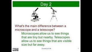 What is difference between Microscope amp Telescope [upl. by Saeger]