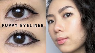 2 Ways to Wear PUPPY EYELINER  Best Eyeliner for SuperHooded Eyes amp Monolids Beginner Friendly [upl. by Giaimo]