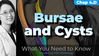 Chapter 4 D⎜Burse and cysts or cystlike lesions ⎜Knee MRI⎜Visualizing MSK Radiology⎜timeline [upl. by Rexford]