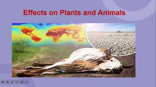 Effects Of Global Warming Increase In Ocean Acidification amp Effect On Plants amp Animals [upl. by Norrahs]