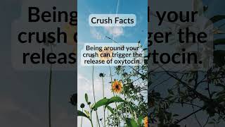 Crush Facts [upl. by Noell]