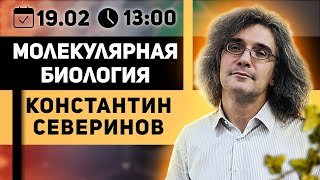 Константин Северинов Тесты на отцовство криминалистика и геном [upl. by Ayad164]