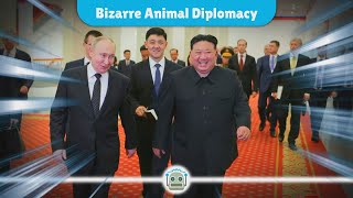 Putins Unlikely Gift Zoo Animals to North Korea Amid War Efforts [upl. by Asseralc]