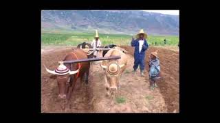 Mantsa Ha Moletsane LESOTHO MUSIC [upl. by Columba311]