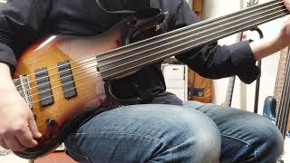 Sadowsky MetroLine 24Fret Modern Bass Ash 5String Fretless  59 Burst DEMO [upl. by Bluhm]