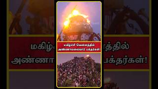 Tiruvannamalai Deepam 2024  Tiruvannamalai Live  Thiruvannamalai Deepam 2024  Deepam  Shorts [upl. by Bibah648]