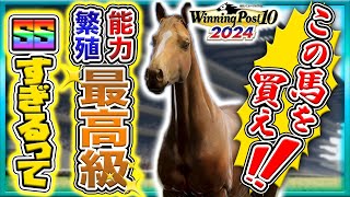 ウイニングポスト10 2024 攻略 繁殖この牝馬が銀札はヤバいと思うんですよ [upl. by Ttimme]