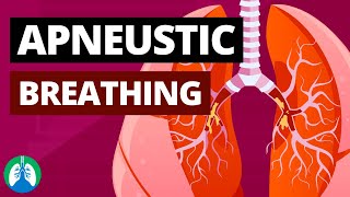 Apneustic Breathing Medical Definition Quick Explainer Video [upl. by Kristien]