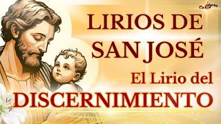 🔴🌱 LIRIOS PERFUMADOS DE SAN JOSÉ  EL LIRIO DEL DISCERNIMIENTO🔨❤️ [upl. by Dagley272]