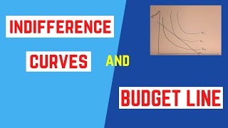 CAPE Economics Consumer Equilibrium Indifference Curve and Budget Line [upl. by Ahsyen]