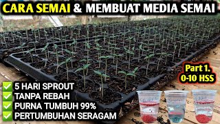 🔴 CARA SEMAI amp MEMBUAT MEDIA SEMAI CABE TOMAT MELON TERONG petanicabesubang infopertaniancabe [upl. by Wasson896]