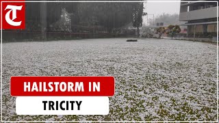 Hailstorm in Chandigarh Kharar Mohali as rain lashes Punjab Haryana [upl. by Bernarr]