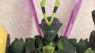 Transformers Animated Deluxe Waspinator Review [upl. by Neih]