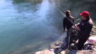 Kawarau river fishing [upl. by Yhotmit731]