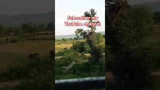 Ina Mina Dika kar lo bhojpuri song 💞💞viralvideo [upl. by Anjanette957]