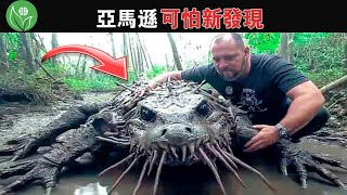 亞馬遜雨林的變種鱷魚？他們意外地記錄了亞馬遜叢林中令探險家感到恐懼的事物，簡直嘆為觀止！ 【探索旅行號】 [upl. by Kylie]